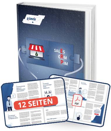 e book cover b2b commerce mit screenshots